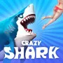 Crazy Shark is an action game about a shark. The predator lives in a dangerous sea. You must control the shark to find food. The game features many cool upgrades and powers. Your objective is to reach the top of the food chain. 