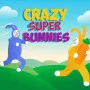 Leap into the wild world of Crazy Super Bunnies. Master physics-based platforming with a friend, collect carrots, and navigate chaotic traps.