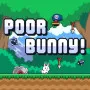 Poor Bunny is a Bunny survival adventure. Players guide an adorable bunny through extremely dangerous levels. The core objective is to collect carrots while skillfully avoiding a series of dynamic traps.